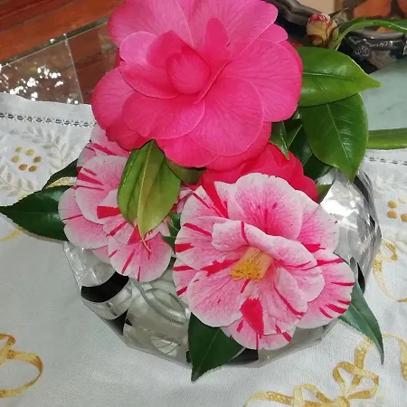 La Casa Dei Paggi 4* ססטרי לבאנטה