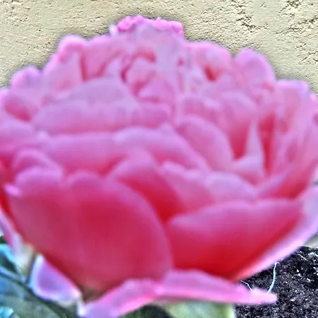 לינה וארוחת בוקר La Casa Dei Paggi ססטרי לבאנטה