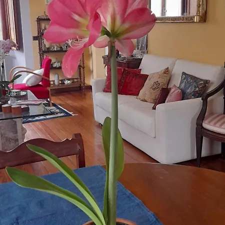 La Casa Dei Paggi Alojamento de Acomodação e Pequeno-almoço 4*