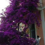 La Casa Dei Paggi Sestri Levante