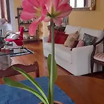 La Casa Dei Paggi Frühstückspension 3*
