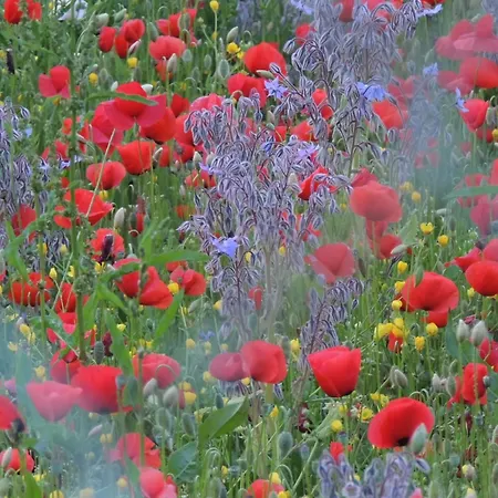 La Casa Dei Paggi Bed & Breakfast