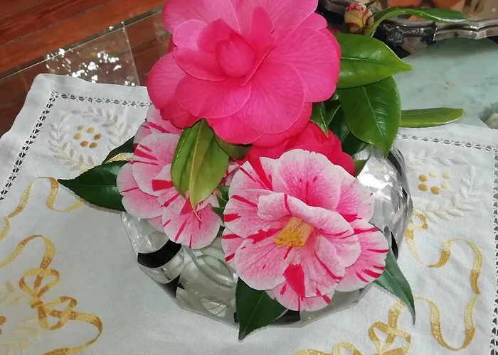 La Casa Dei Paggi 4* 세스트리레반떼